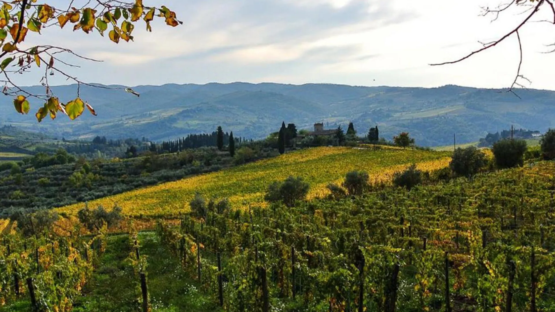 Apartment Casa Luisa By Interhome Greve in Chianti